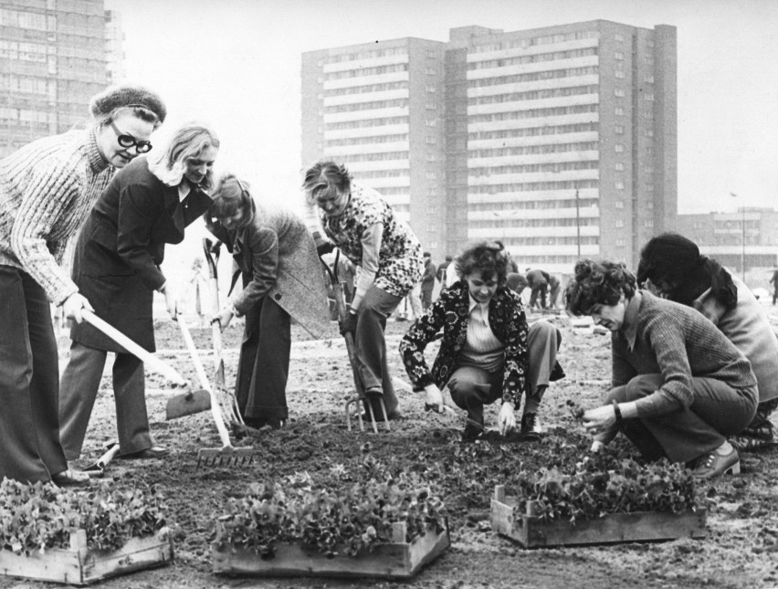 Osiedle Tysiąclecia, lata 70. Tytuł zdjęcia: "czyn partyjny"