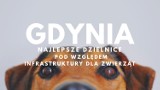 TOP 10 najlepszych gdyńskich dzielnic pod względem infrastruktury dla zwierząt. Tutaj czworonogom będzie się żyło dobrze!