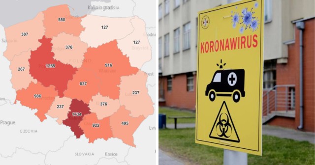 9 902 nowych przypadków koronawirusa w Polsce, 1 734 w woj. śląskim odnotowano w poniedziałek, 5 kwietnia 2021 roku. To w Śląskiem jest wciąż najwięcej nowych zakażeń [patrz - mapa]! 

W poniedziałki zazwyczaj liczba podawanych zakażeń jest znacznie niższa niż w tygodniu - a wynika to z mniejszej ilości testów wykonanych w weekend. O tym jaki jest trend, czy zachorowań jest wciąż więcej a jak tak to o ile procent - możemy się przekonać, porównując ze sobą wyniki z poszczególnych poniedziałków. 

Porównując dzisiejszy wynik z tym sprzed tygodnia, to - i tu DOBRA WIADOMOĆ - mamy spadek w nowych zakażeniach: w Polsce o 42 procent, natomiast w woj. śląskim o 36 procent! Wciąż jednak trwają święta, dziś mamy Poniedziałek Wielkanocny - tak więc, to dodatkowo z pewnością wpłynęło na jeszcze mniejszą liczbę wykonanych testów niż zazwyczaj. Poza tym, czy Polscy przestrzegali teraz obowiązujących obostrzeń, czy w okresie świątecznym zrezygnowali np. z tradycyjnych rodzinnych odwiedzin? O tym, czy rzeczywiście nowych zakażeń jest już mniej, przekonamy się dopiero w okresie już poświątecznym.

Liczba osób na kwarantannie w woj. śląskim to aż 59 133! Liczba wykonanych testów - 5 081,  w tym z wynikiem pozytywnym - 1 840

Gdzie w w woj. śląskim nowych zakażeń jest dramatycznie dużo, a gdzie liczba ta już znacznie spadła? Sprawdź. Kliknij w następne zdjęcie >>>

