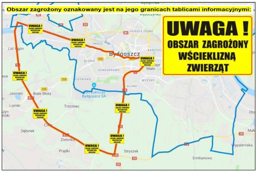 Wścieklizna w Bydgoszczy. Wyznaczono obszar zagrożony [mapa]