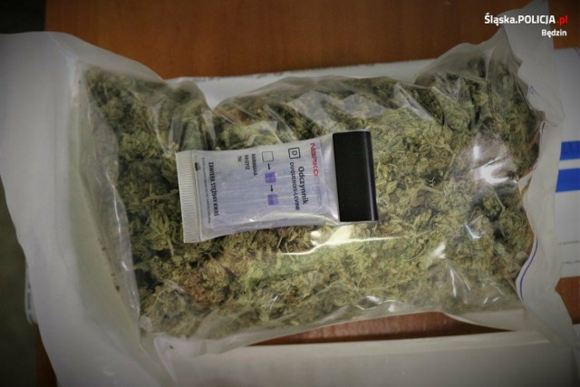 W mieszkaniu będzinianina policjanci znaleźli 100 porcji dilerskich marihuany