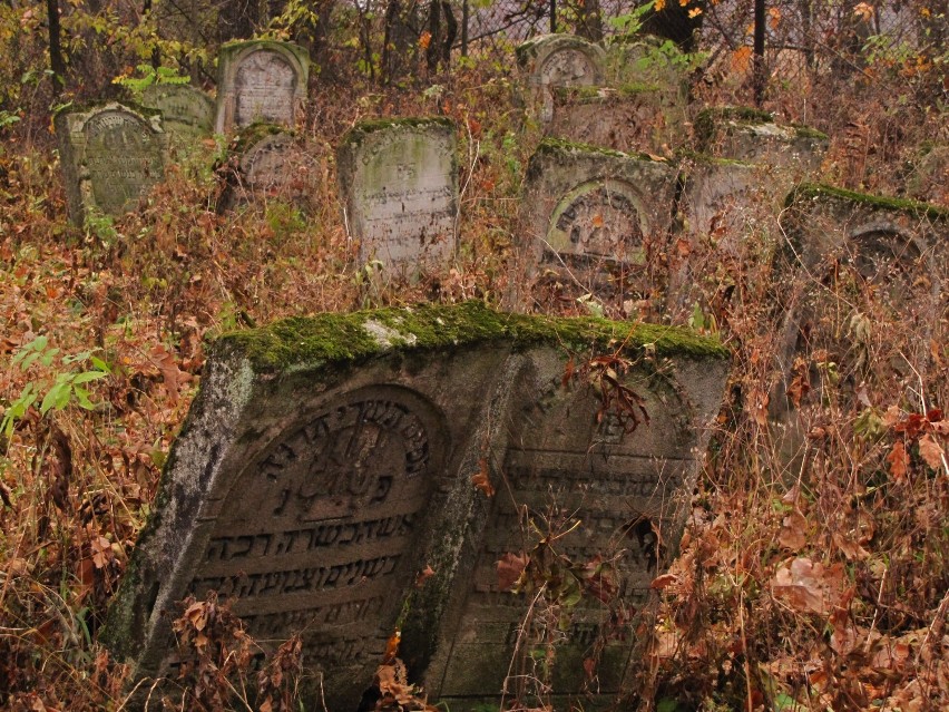 Cmentarz żydowski w Szczebrzeszynie.