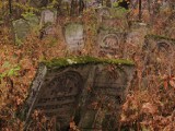 Cmentarz żydowski w Szczebrzeszynie (wideo, zdjęcia)