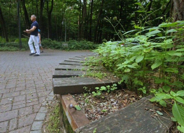 Park Baranowski jest bardzo zaniedbany. Nie widać pasów na ścieżce rowerowej, a wyrwane deski nie zachęcają do odpoczynki.