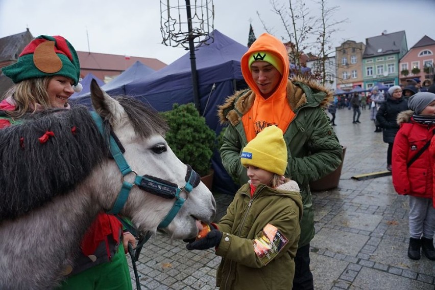 Darłowo 2019