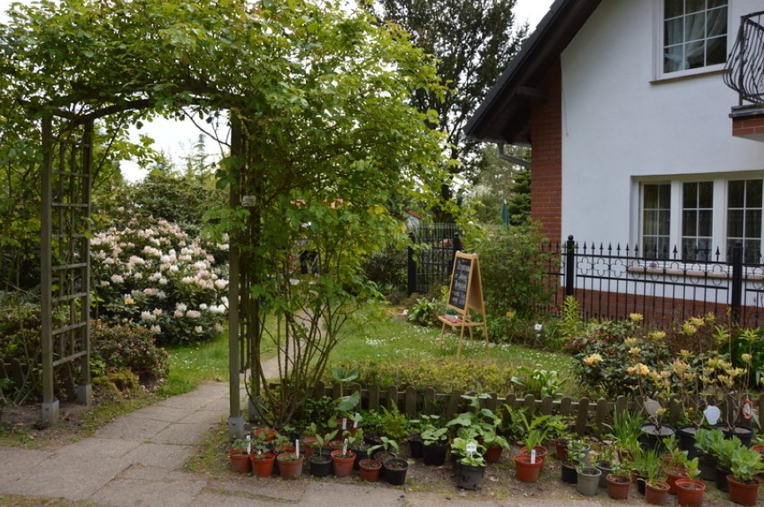 Gołubieński Ogród Botaniczny - maj 2016