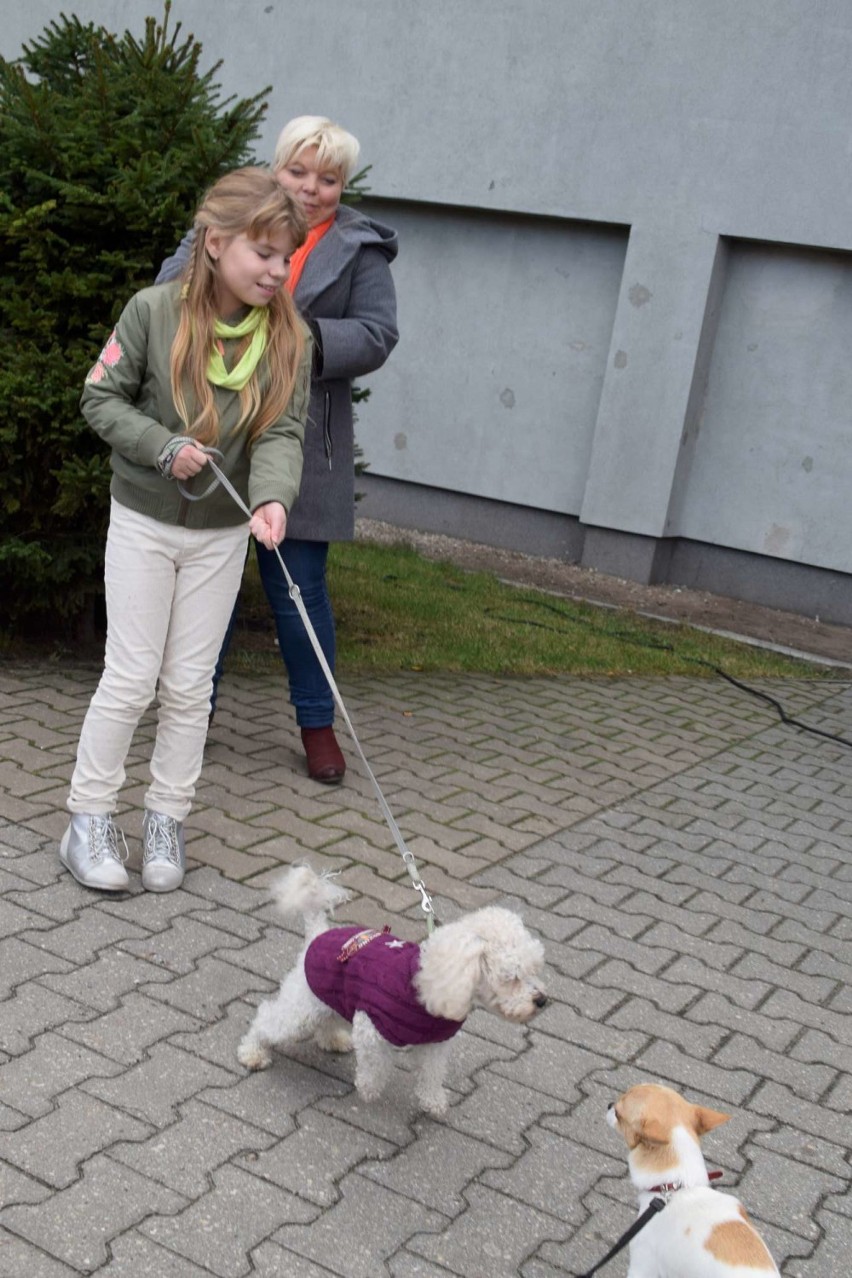 Piknik z moim Pupilkiem w Międzychodzie