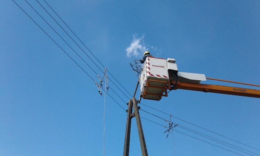 Pracownicy Posterunku Energetycznego w Augustowie zamontowali platformę na gniazdo bociana w Mazurkach