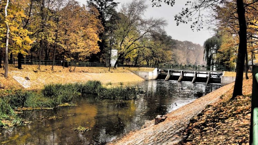 Park Miejski w Kaliszu w jesiennej szacie