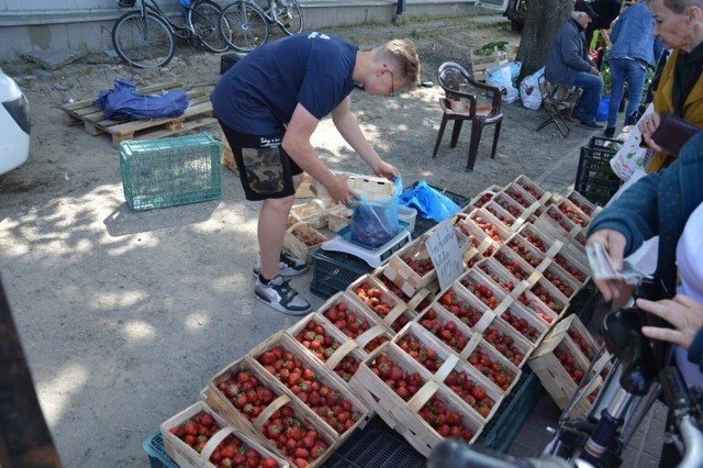 Na placu targowym w Stalowej Woli jest coraz więcej truskawek i gotowych kupić klientów. Zobacz ceny na kolejnych slajdach.