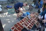 Truskawki królują na targu w Stalowej Woli. Zobacz na zdjęciach ceny warzyw i owoców