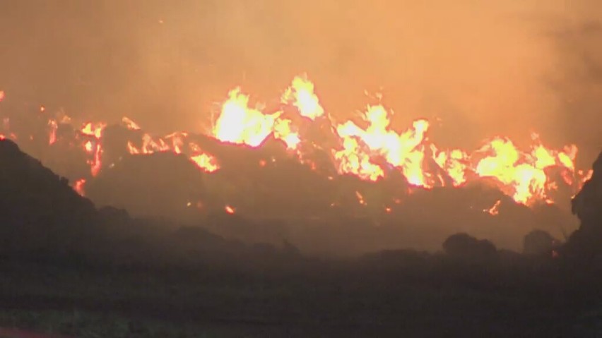 Pożar w Sokołowie Budzyńskim