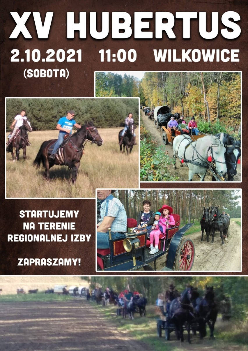 Imprezy w Lesznie i regionie 1-3 października 2021r.. Będzie się sporo działo. Zobaczcie, gdzie warto się wybrać w ten weekend 
