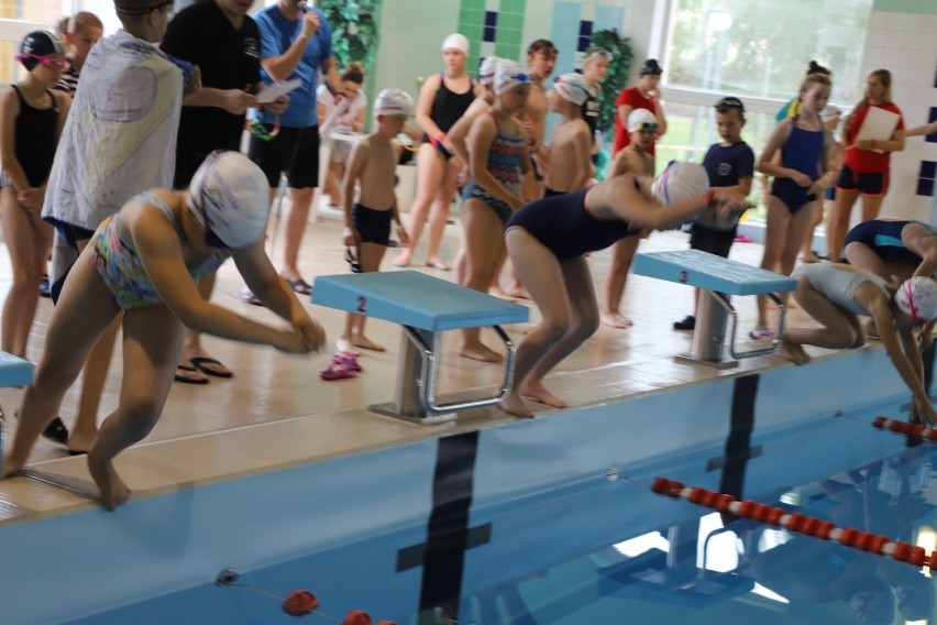 Otwarte Mistrzostwa Szkół Podstawowych w Pływaniu 