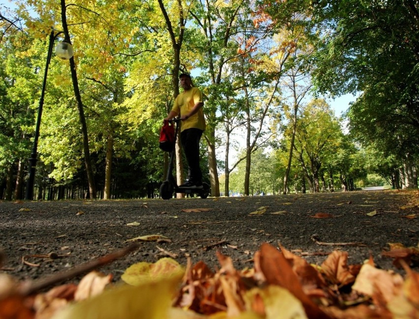 Wybierz się z nami na jesienny spacer po poznańskiej...