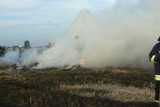 Żniwa 2016 - uwaga na pożary podczas prac polowych [ZDJĘCIA]