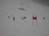 Zakopane. Wystartował narciarski Puchar Zakopanego 2018 [ZDJĘCIA]