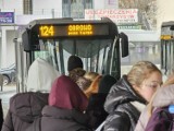 Toruń. Zmiany w MZK. Autobusy od nowego roku jeżdżą na nowych trasach