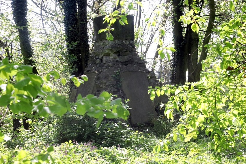 Zapomniany pomnik przy ulicy Wielogórskiej w Legnicy popada w ruinę, zobaczcie aktualne zdjęcia