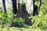 Zapomniany pomnik przy ulicy Wielogórskiej w Legnicy popada w ruinę, zobaczcie aktualne zdjęcia i film