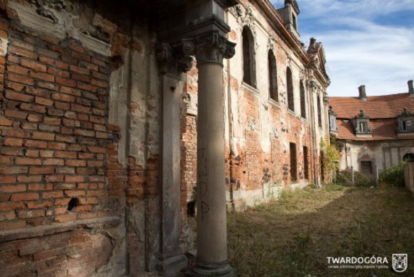 Rozpoczęły się pierwsze prace przy ruinach pałacu w Goszczu
