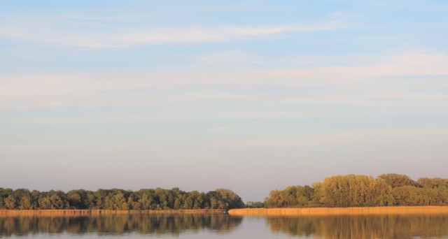 Na jez. Gopło podobno pojawiła się nowa wyspa. Opanowały ją łyski