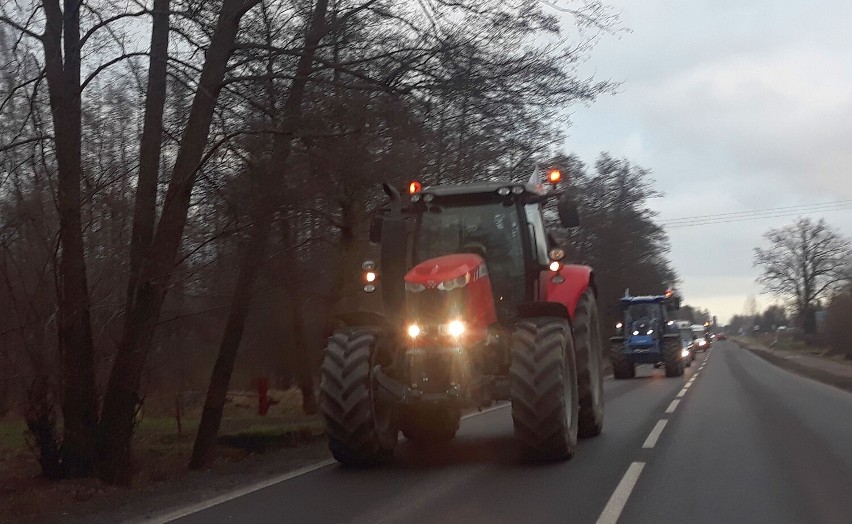 Protest rolników. Wyjechali na stargardzkie drogi ciągnikami. Konwój policji