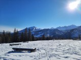 Tatry. Opustoszałe zimowe szlaki po feriach. Rusinowa Polane i Gęsią Szyję w zimowej odsłonie [ZDJĘCIA]