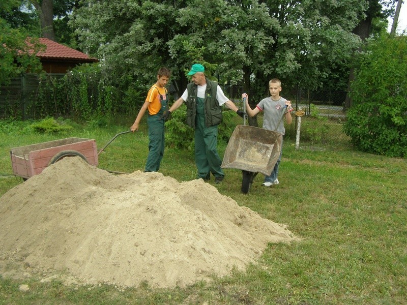 Stradomia W.: Porządkują zieleń