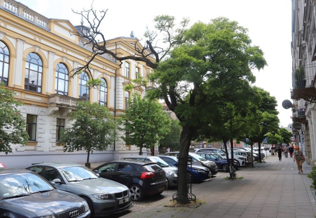 Ulica Piłsudskiego jest jedną z najbardziej zielonych w centrum. Teraz część drzew ma być wycięta.