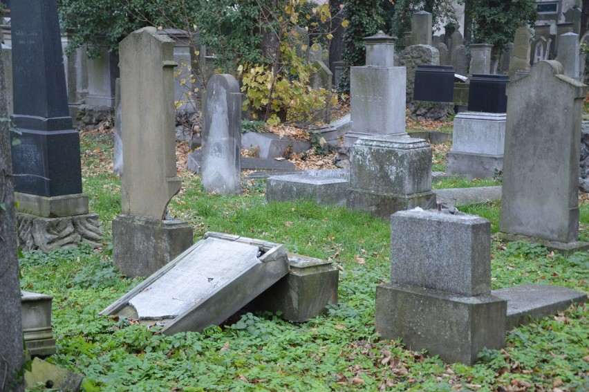 Poprzewracane macewy na cmentarzu żydowskim w Opolu.