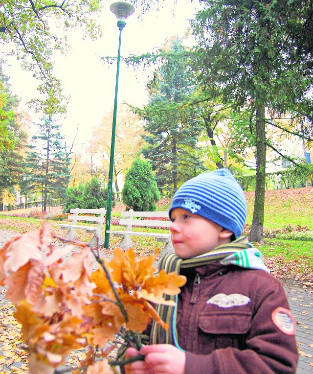 W parku ma się znaleźć 50 nowych lamp. Na zdj. 6-letni Kacper Żurowski