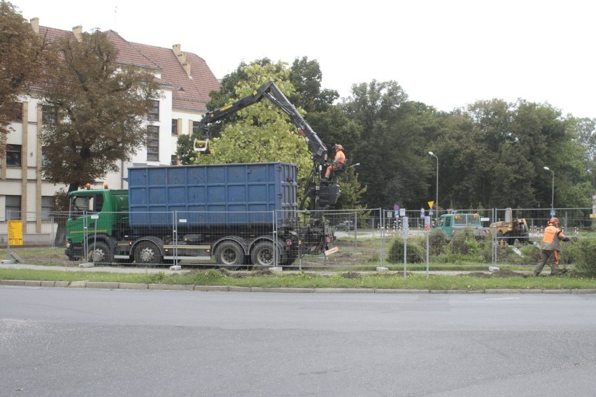 Mieszkańcy zwracają uwagę, że wycięto za dużo drzew w celu...