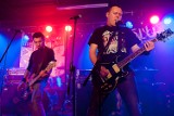 Punk rockowa Estrada - koncert The Analogs [zdjęcia]