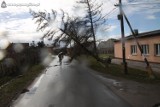 Silny wiatr na terenie powiatu mogileńskiego