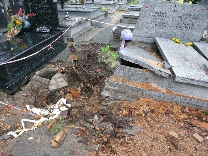 Pabianicki cmentarz miesiąc po nawałnicy. Nadal wiele nagrobków jest zniszczonych ZDJĘCIA