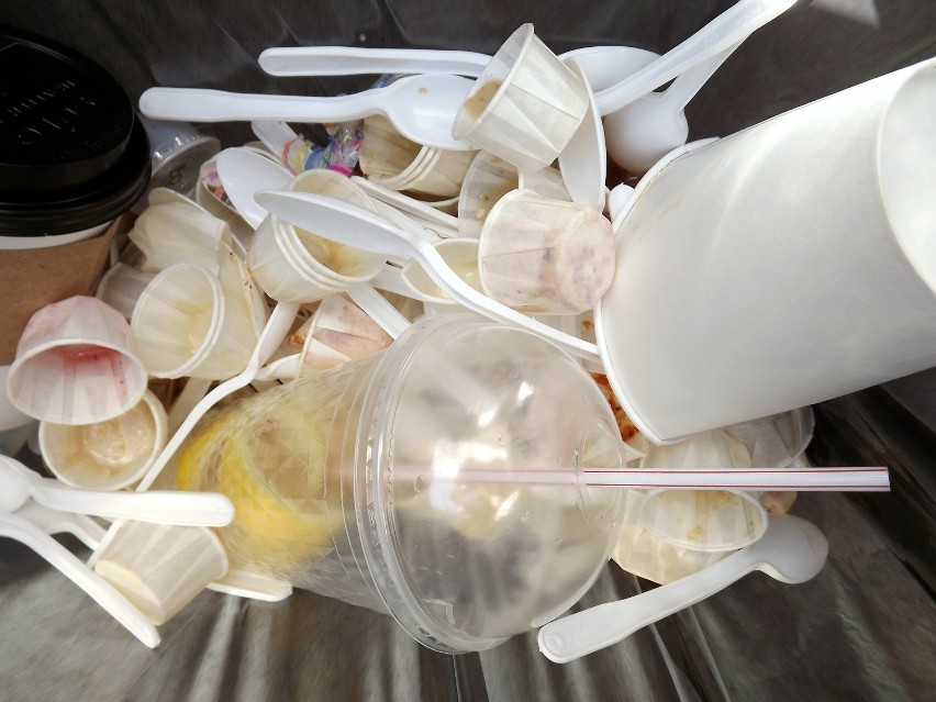To, że ograniczenie opakowań plastikowych jest konieczne,...