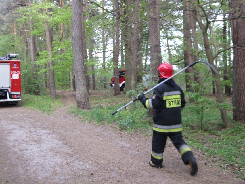 Wczoraj (17 maja) w późnych godzinach wieczornych strażacy...