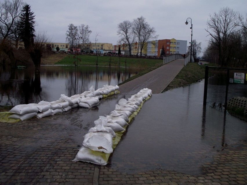 13 stycznia - Co to się porobiło, cicha woda brzegi rwie ?