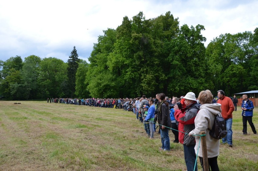 Bitwa pod Chojnowem. Fot. Mariusz Witkowski