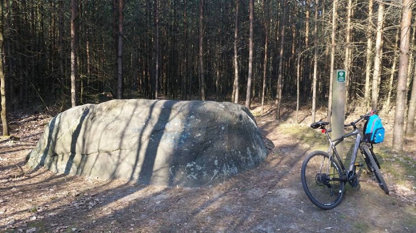 Diabelski kamień koło Żagania