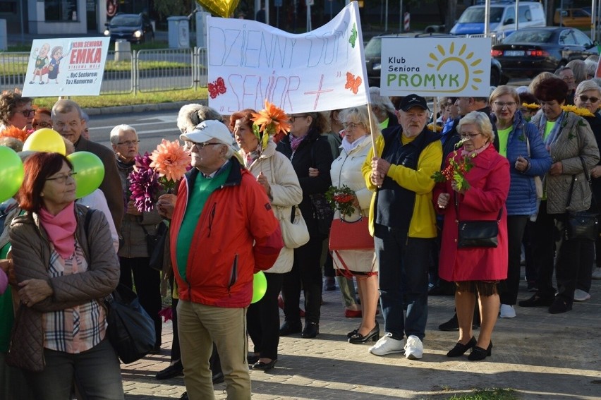 Stalowowolskie Dni Seniora. Korowód przeszedł przez miasto. Zobacz zdjęcia