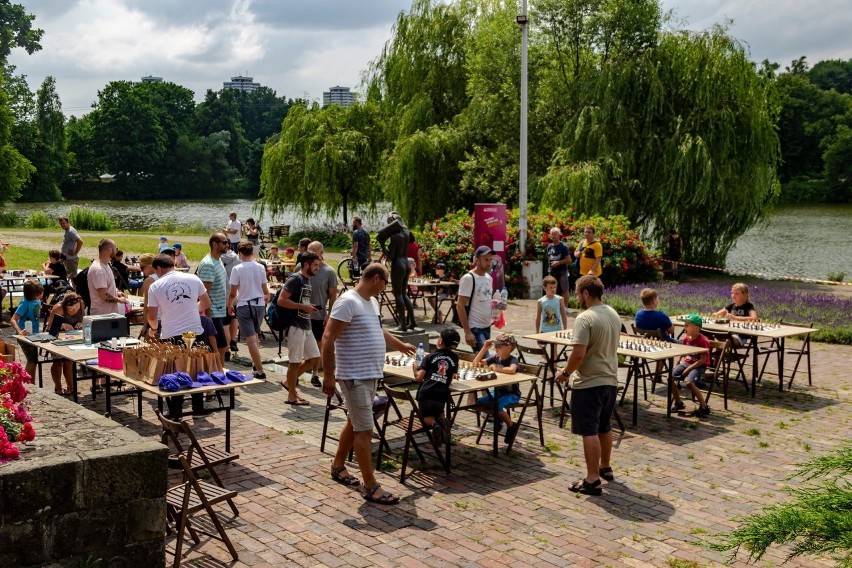 Festiwal szachowy w Parku Śląskim