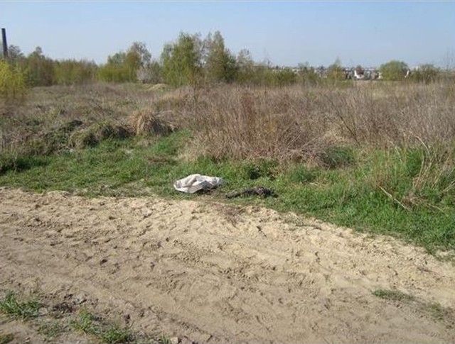 Skrępowane zwłoki psa znaleziono w okolicach ul. Żytniej