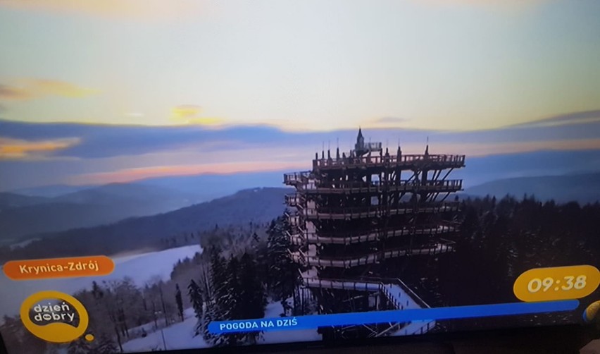 Dzień Dobry TVN. Wieża widokowa w Krynicy-Zdroju na antenie stacji telewizyjnej. Transmitują pogodę ze ścieżki w koronach drzew [ZDJĘCIA]