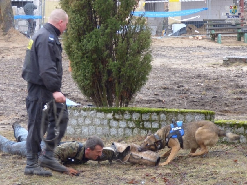 Lęborscy policjanci tresowali służbowe psy