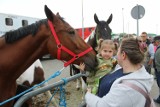 Wielki jamark koński w Łódzkiem. Setki koni i tysiące zwiedzających na placu targowym