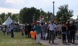 Kulturalne Lato w Toruniu. Koncerty, wystawy, imprezy plenerowe, festiwale. Co wybrać..?