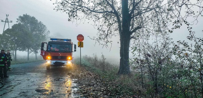 Gmina Błaszki. Zwarcie instalacji elektrycznej przyczyną pożaru samochodu [FOTO]