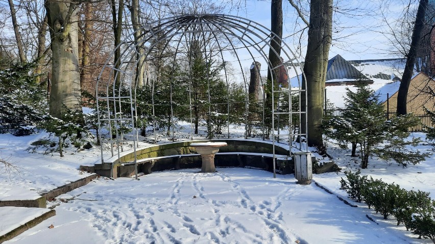 Muzealny ogród pod śniegiem wygląda niezwykle. Warto przyjść...